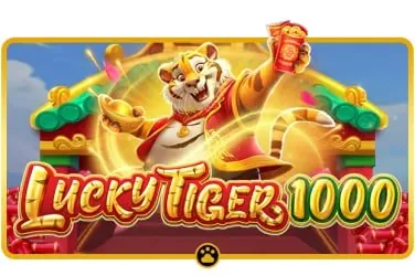 ct999win Read Smarter, Bet on What You Actually Know